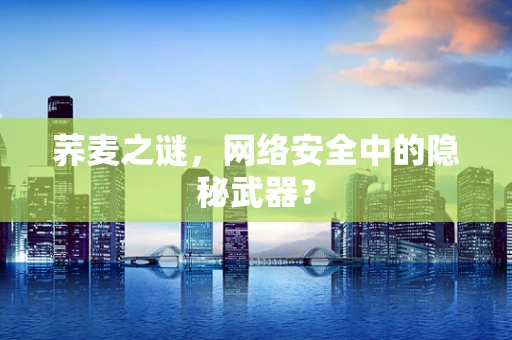荞麦之谜，网络安全中的隐秘武器？