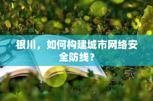 银川，如何构建城市网络安全防线？