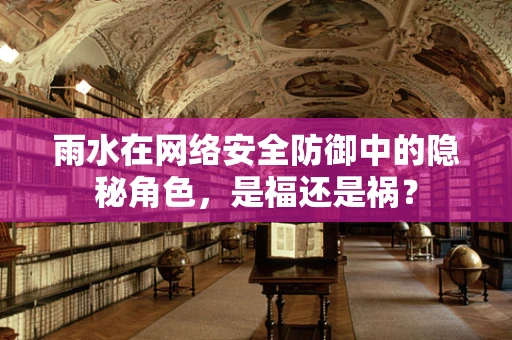 雨水在网络安全防御中的隐秘角色，是福还是祸？