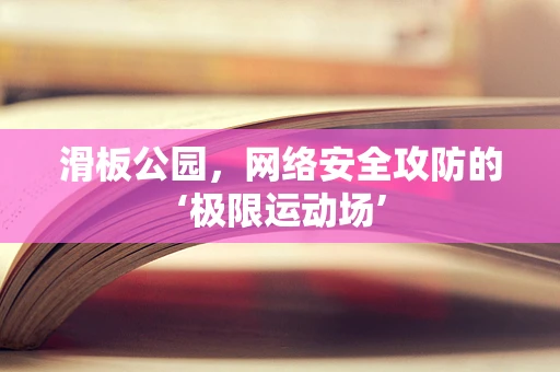滑板公园，网络安全攻防的‘极限运动场’
