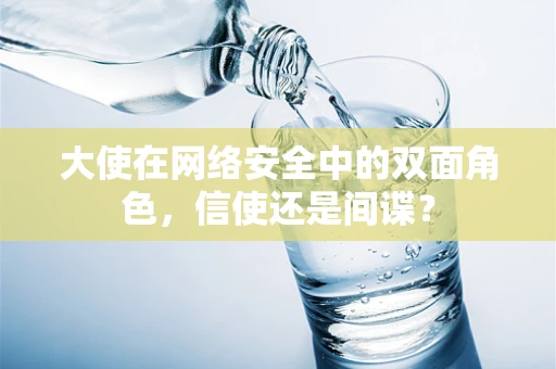 大使在网络安全中的双面角色，信使还是间谍？
