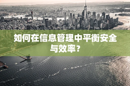 如何在信息管理中平衡安全与效率？