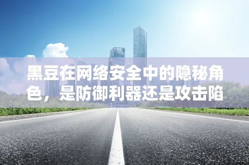 黑豆在网络安全中的隐秘角色，是防御利器还是攻击陷阱？