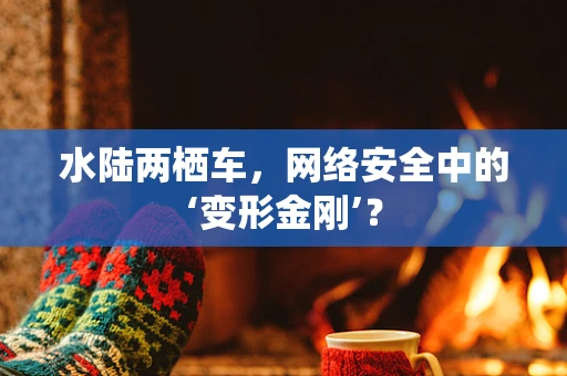 水陆两栖车，网络安全中的‘变形金刚’？