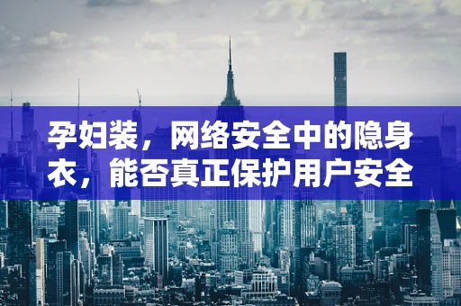 孕妇装，网络安全中的隐身衣，能否真正保护用户安全？