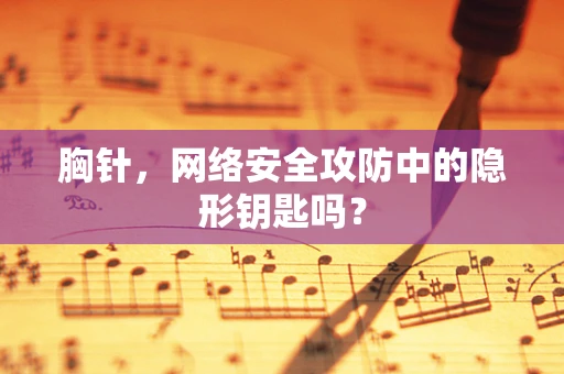 胸针，网络安全攻防中的隐形钥匙吗？
