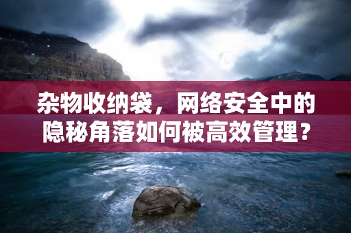 杂物收纳袋，网络安全中的隐秘角落如何被高效管理？