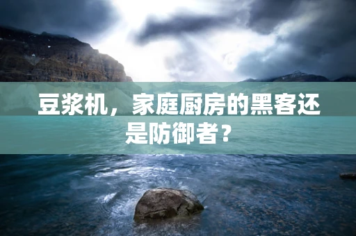 豆浆机，家庭厨房的黑客还是防御者？