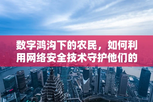 数字鸿沟下的农民，如何利用网络安全技术守护他们的‘数字田地’？