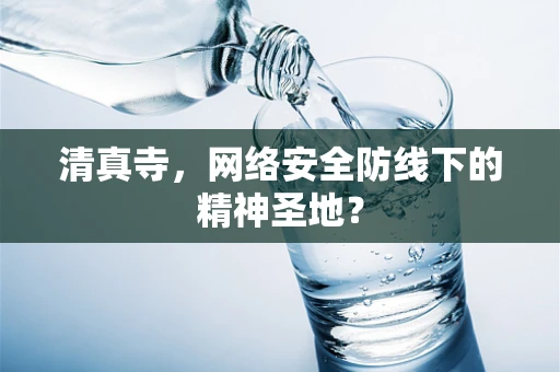 清真寺，网络安全防线下的精神圣地？