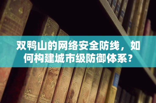 双鸭山的网络安全防线，如何构建城市级防御体系？