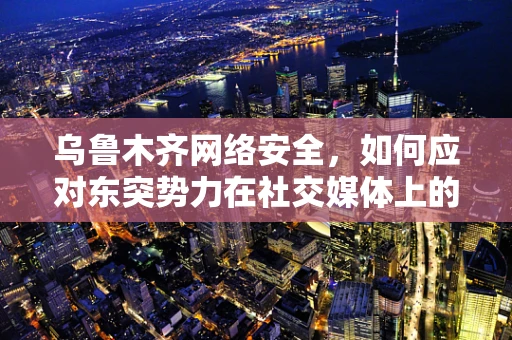 乌鲁木齐网络安全，如何应对东突势力在社交媒体上的煽动性言论？