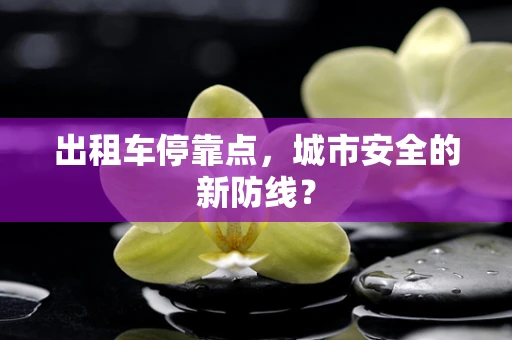 出租车停靠点，城市安全的新防线？