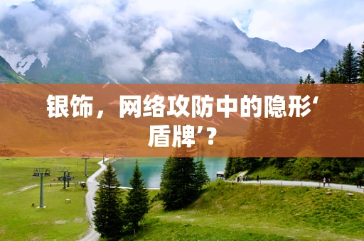 银饰，网络攻防中的隐形‘盾牌’？