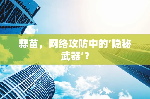 蒜苗，网络攻防中的‘隐秘武器’？