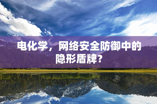 电化学，网络安全防御中的隐形盾牌？