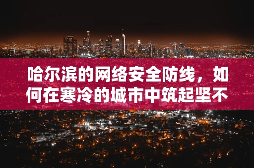 哈尔滨的网络安全防线，如何在寒冷的城市中筑起坚不可摧的数字堡垒？