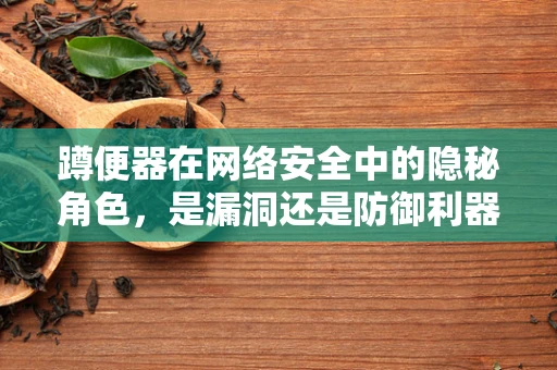 蹲便器在网络安全中的隐秘角色，是漏洞还是防御利器？