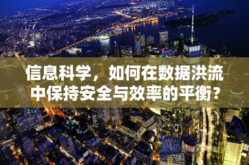 信息科学，如何在数据洪流中保持安全与效率的平衡？