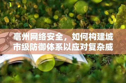 亳州网络安全，如何构建城市级防御体系以应对复杂威胁？