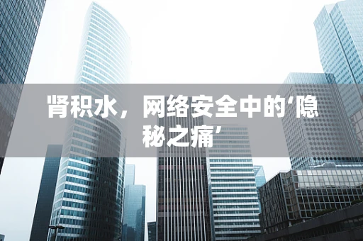 肾积水，网络安全中的‘隐秘之痛’