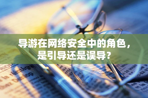 导游在网络安全中的角色，是引导还是误导？