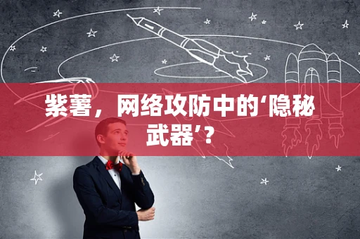紫薯，网络攻防中的‘隐秘武器’？