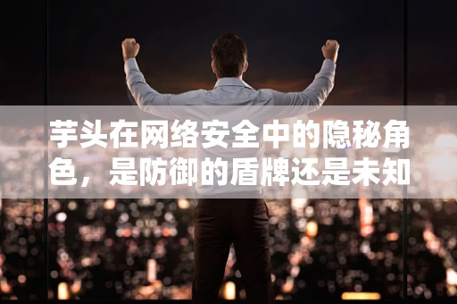 芋头在网络安全中的隐秘角色，是防御的盾牌还是未知的威胁？