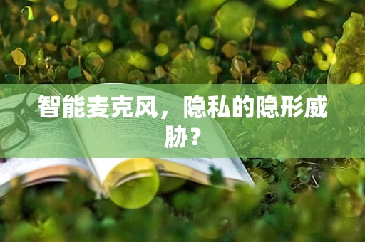 智能麦克风，隐私的隐形威胁？