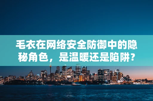 毛衣在网络安全防御中的隐秘角色，是温暖还是陷阱？