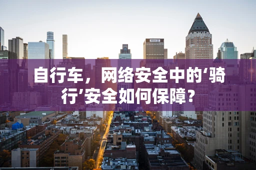 自行车，网络安全中的‘骑行’安全如何保障？