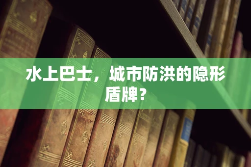 水上巴士，城市防洪的隐形盾牌？