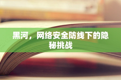 黑河，网络安全防线下的隐秘挑战