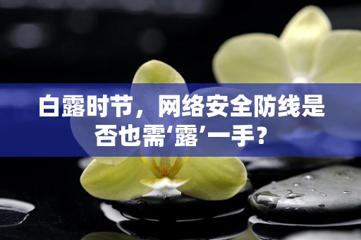 白露时节，网络安全防线是否也需‘露’一手？