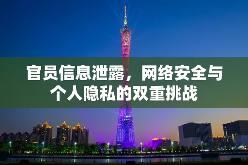 官员信息泄露，网络安全与个人隐私的双重挑战