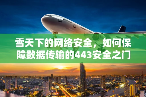 雪天下的网络安全，如何保障数据传输的443安全之门？