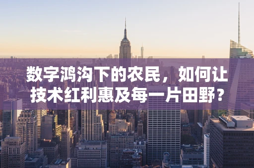 数字鸿沟下的农民，如何让技术红利惠及每一片田野？