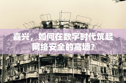嘉兴，如何在数字时代筑起网络安全的高墙？