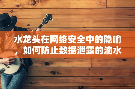 水龙头在网络安全中的隐喻，如何防止数据泄露的滴水不漏？