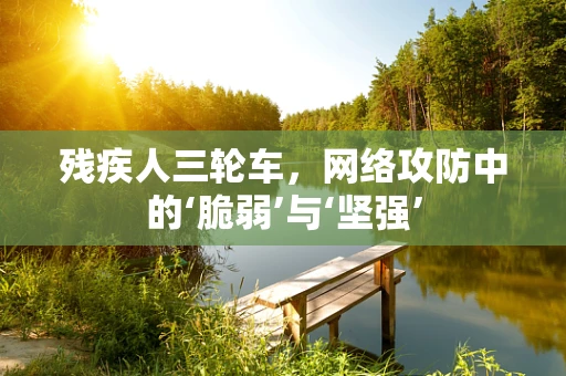 残疾人三轮车，网络攻防中的‘脆弱’与‘坚强’