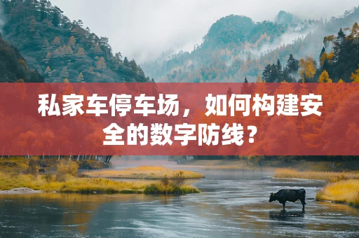 私家车停车场，如何构建安全的数字防线？