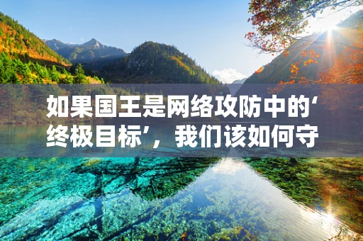 如果国王是网络攻防中的‘终极目标’，我们该如何守护？