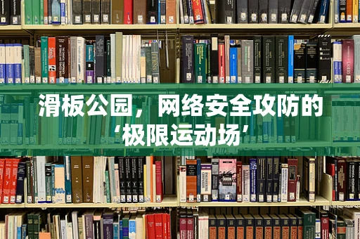 滑板公园，网络安全攻防的‘极限运动场’