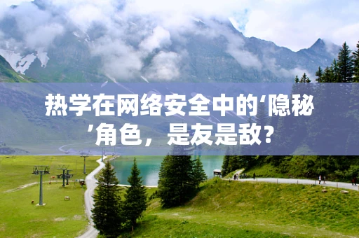 热学在网络安全中的‘隐秘’角色，是友是敌？