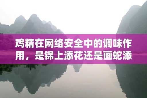 鸡精在网络安全中的调味作用，是锦上添花还是画蛇添足？