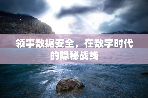 领事数据安全，在数字时代的隐秘战线