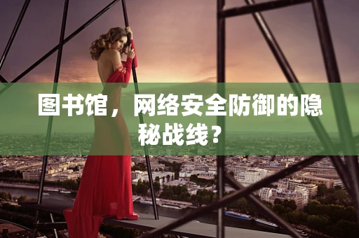 图书馆，网络安全防御的隐秘战线？