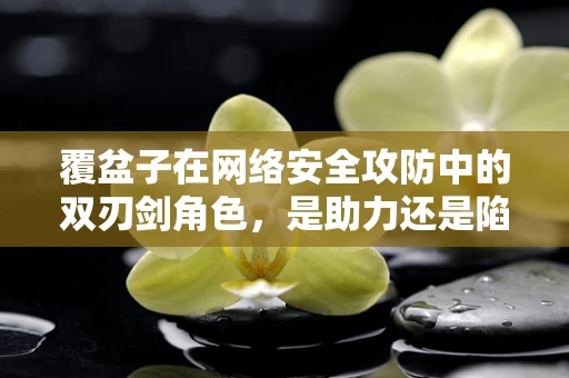 覆盆子在网络安全攻防中的双刃剑角色，是助力还是陷阱？