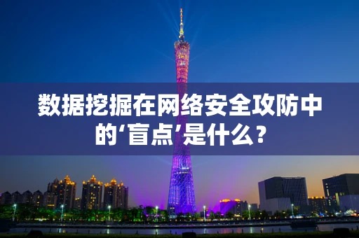 数据挖掘在网络安全攻防中的‘盲点’是什么？