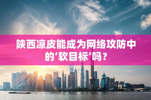 陕西凉皮能成为网络攻防中的‘软目标’吗？
